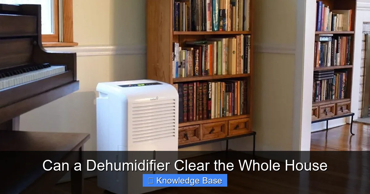Can a Dehumidifier Clear the Whole House