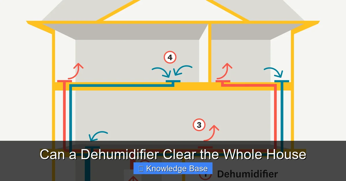 Can a Dehumidifier Clear the Whole House