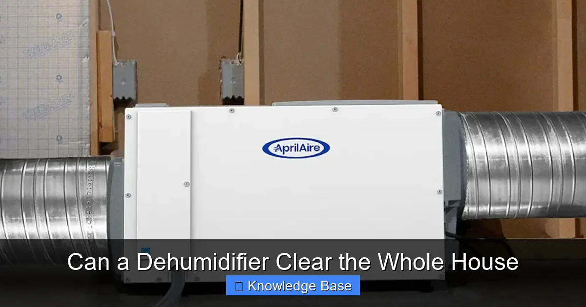 Can a Dehumidifier Clear the Whole House