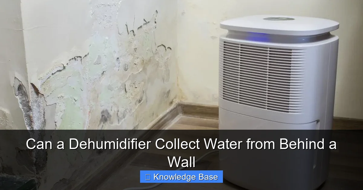 Can a Dehumidifier Collect Water from Behind a Wall