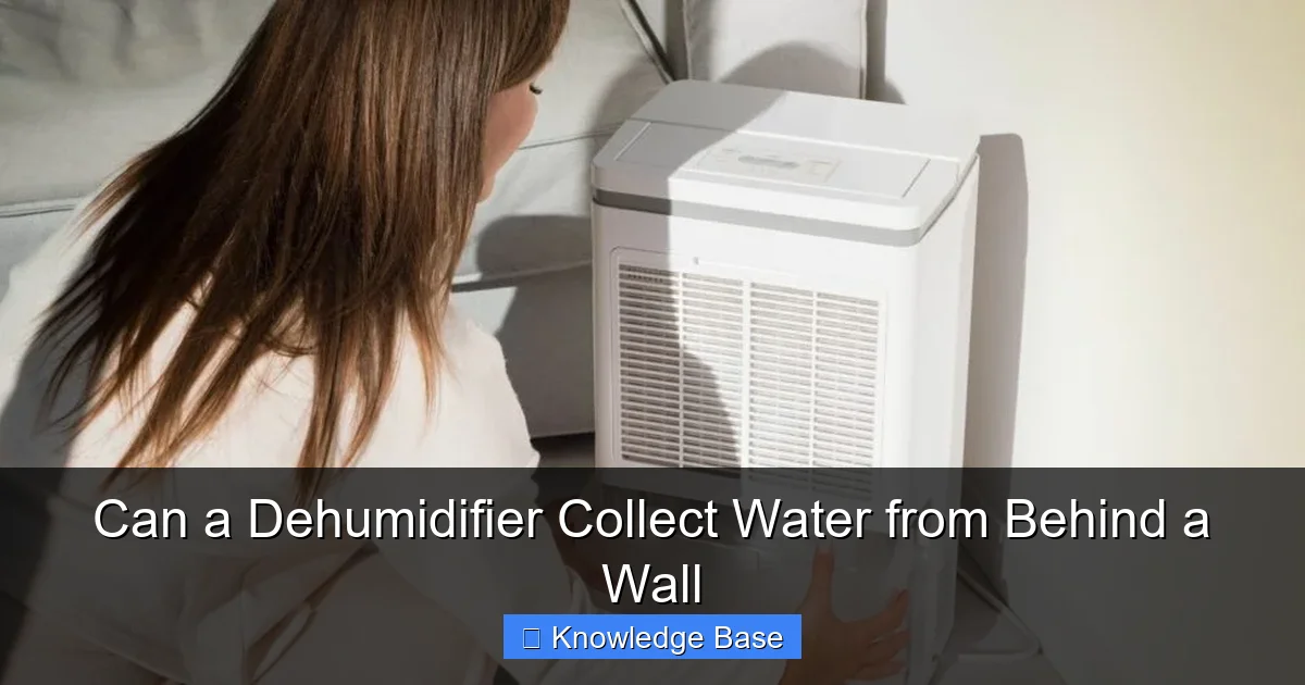 Can a Dehumidifier Collect Water from Behind a Wall