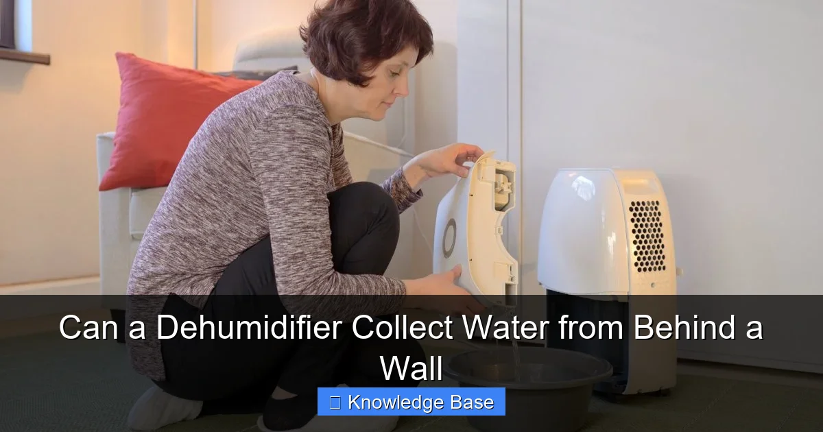 Can a Dehumidifier Collect Water from Behind a Wall