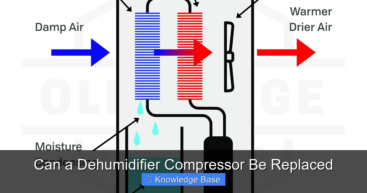 Can a Dehumidifier Compressor Be Replaced