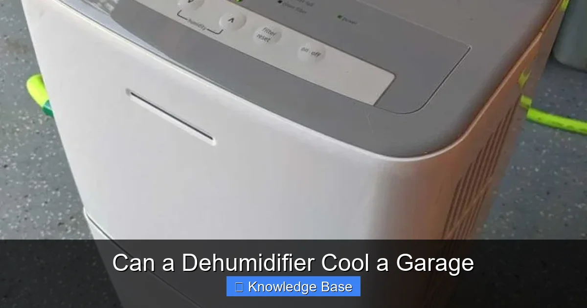 Can a Dehumidifier Cool a Garage