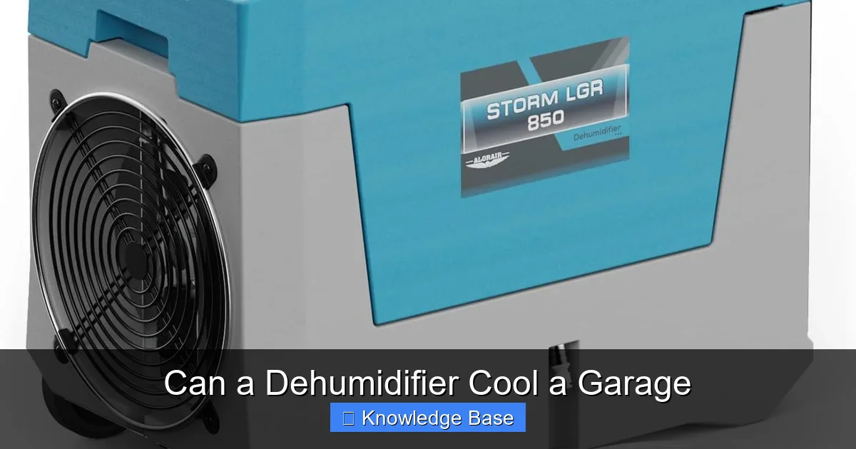 Can a Dehumidifier Cool a Garage