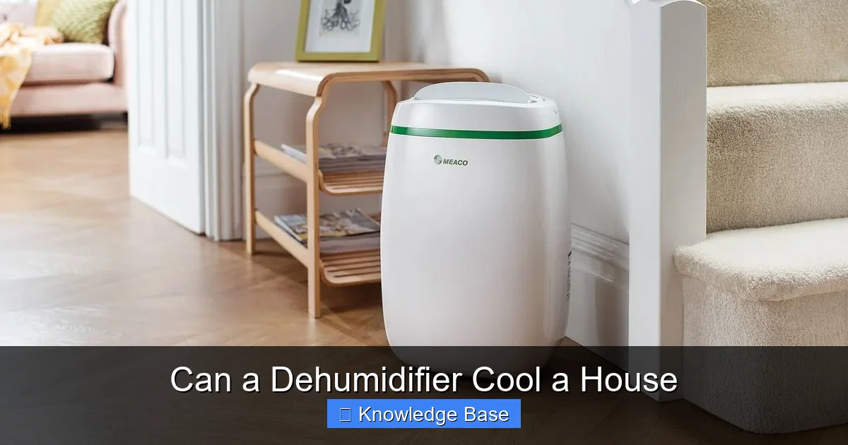 Can a Dehumidifier Cool a House