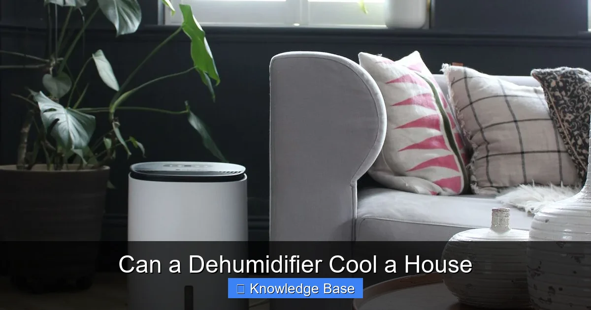 Can a Dehumidifier Cool a House