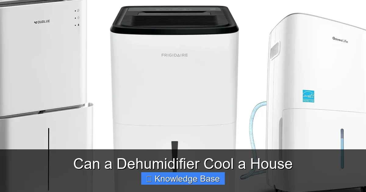 Can a Dehumidifier Cool a House