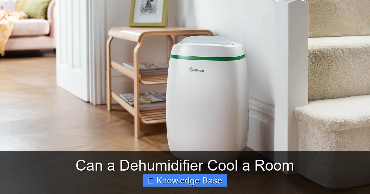 Can a Dehumidifier Cool a Room