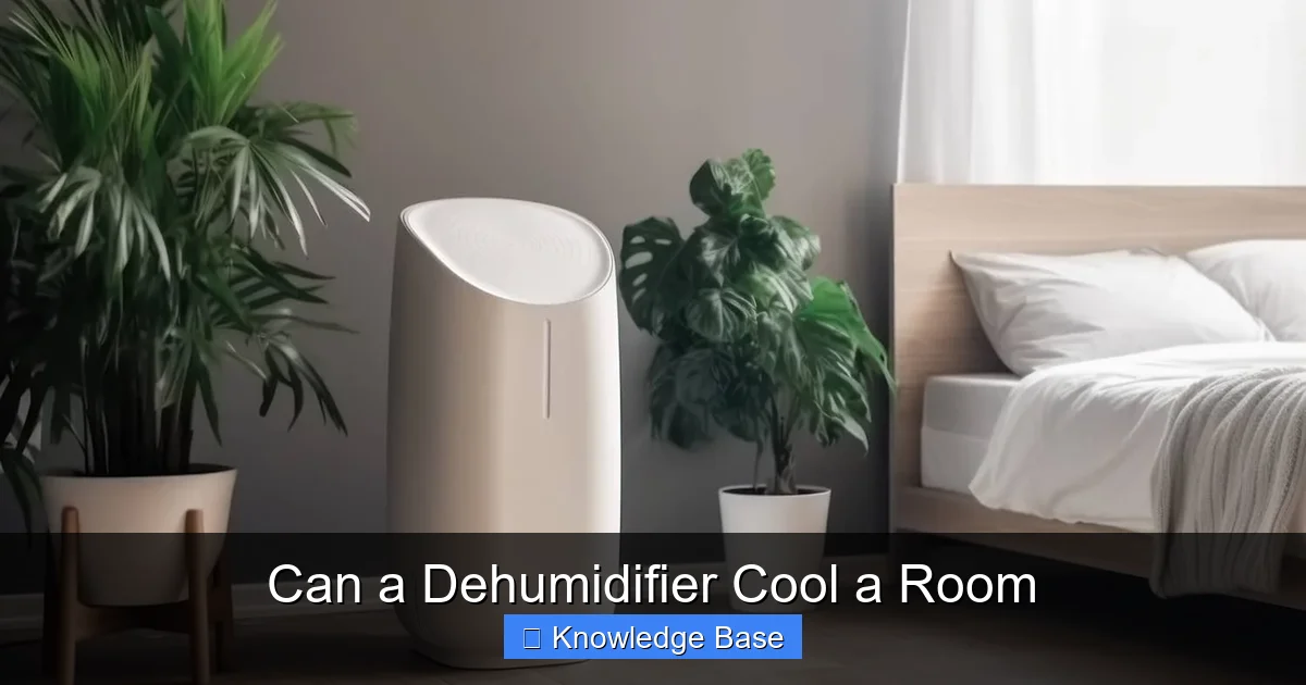 Can a Dehumidifier Cool a Room
