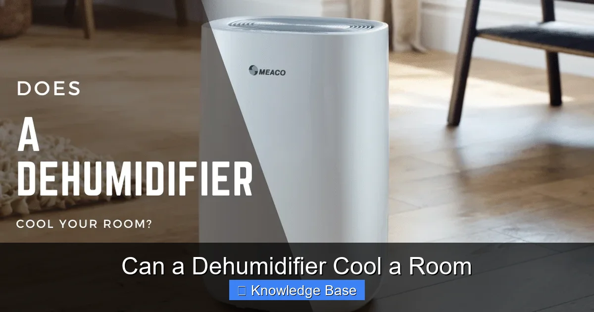Can a Dehumidifier Cool a Room
