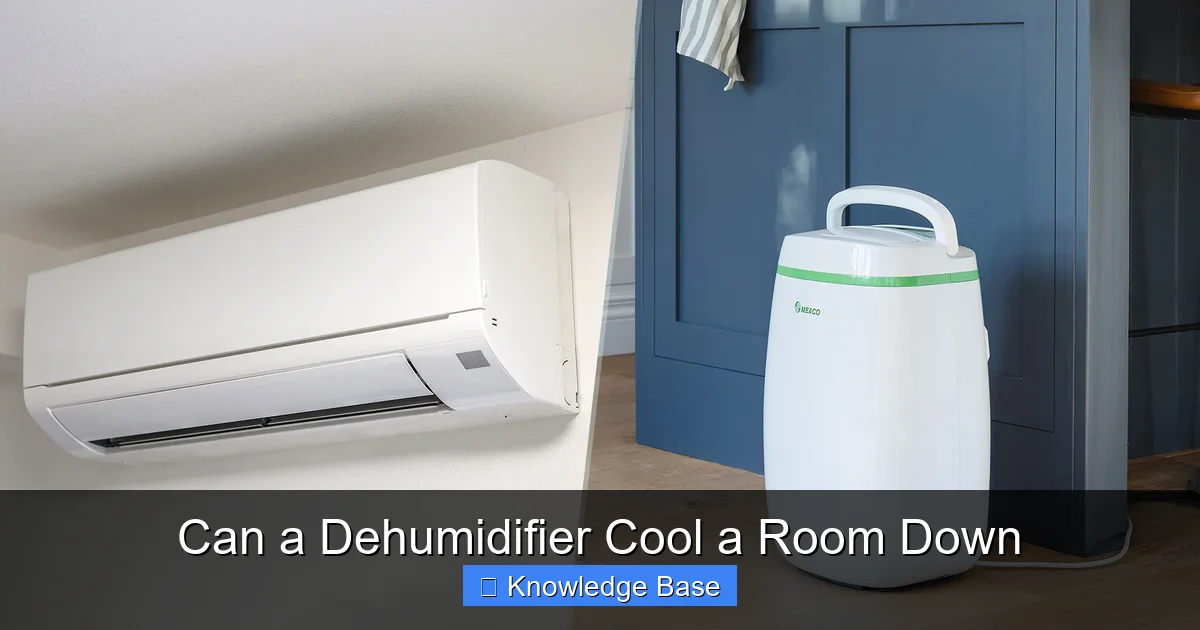 Can a Dehumidifier Cool a Room Down