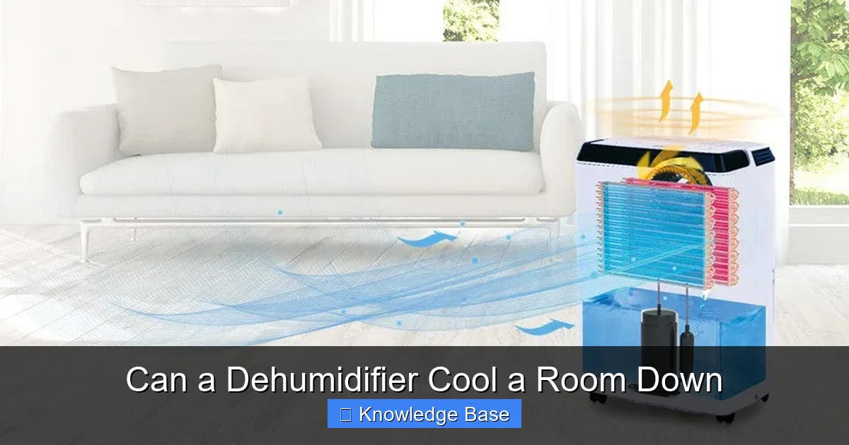 Can a Dehumidifier Cool a Room Down