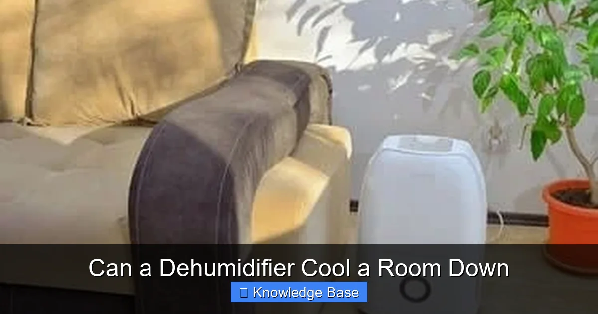 Can a Dehumidifier Cool a Room Down