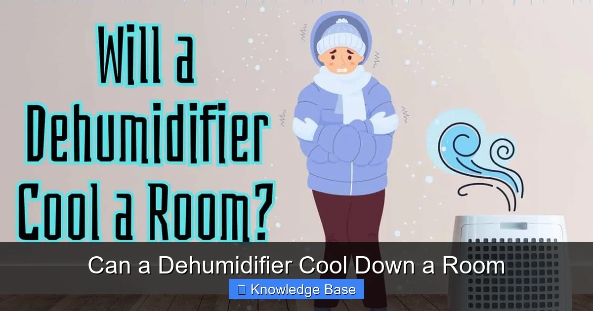 Can a Dehumidifier Cool Down a Room