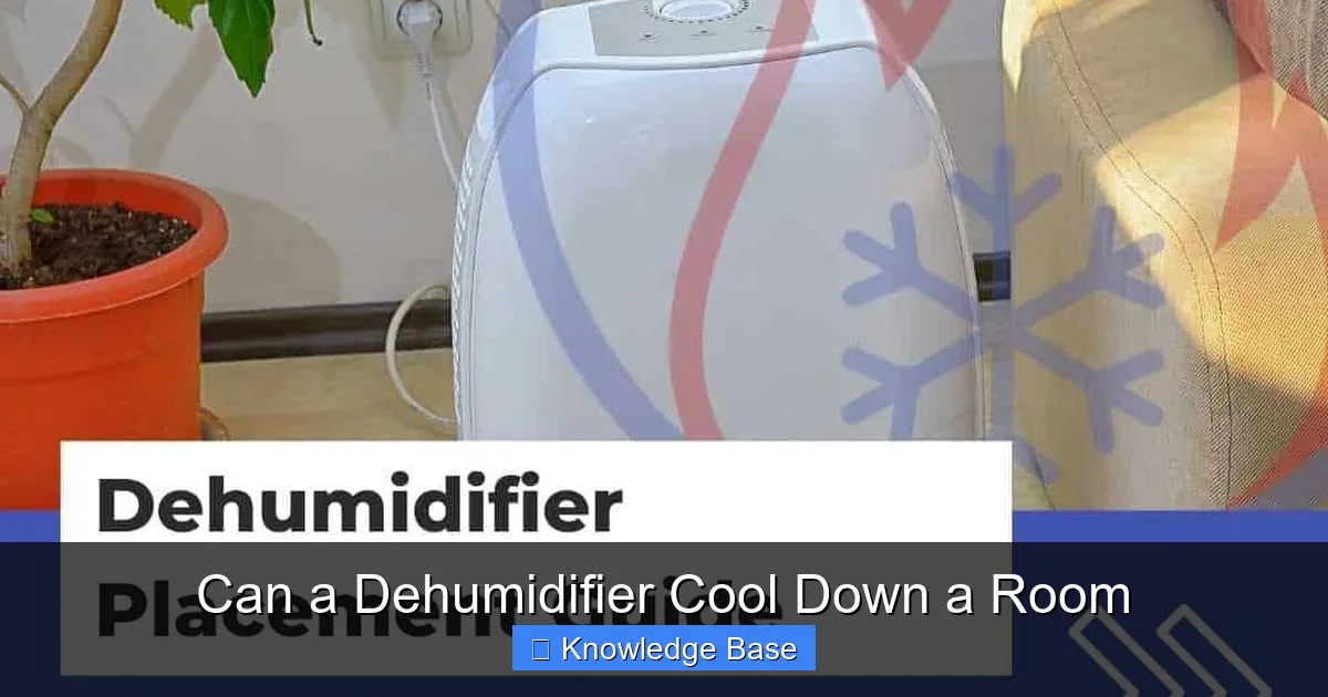 Can a Dehumidifier Cool Down a Room