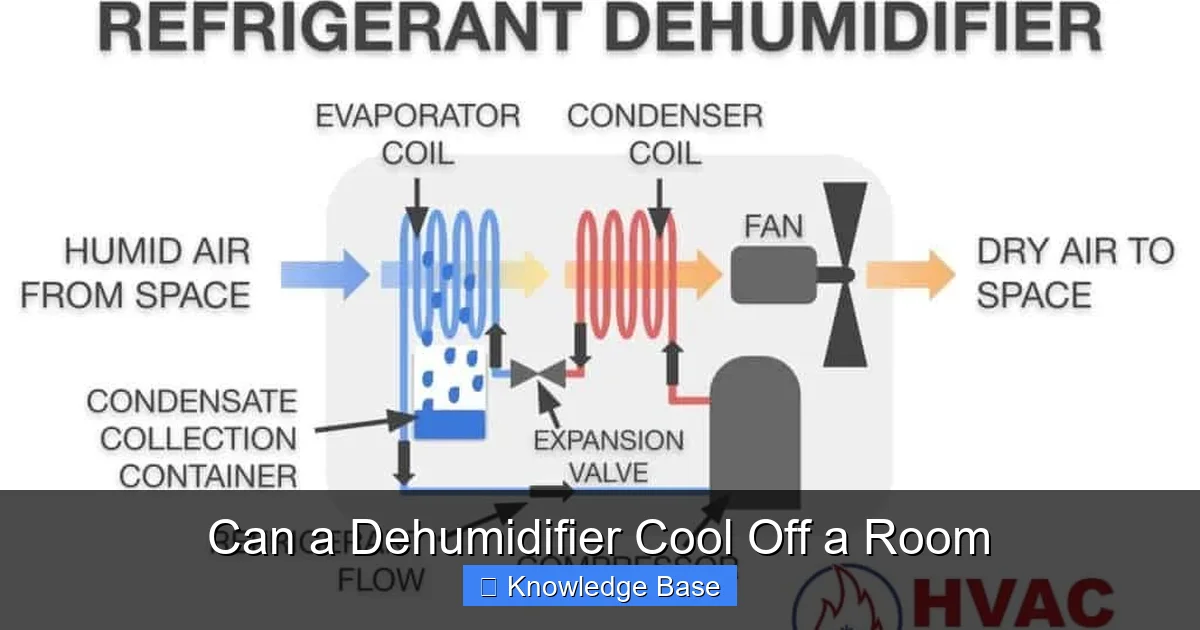 Can a Dehumidifier Cool Off a Room