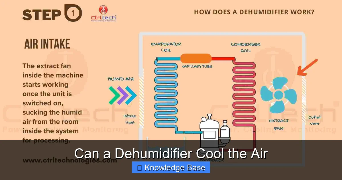 Can a Dehumidifier Cool the Air