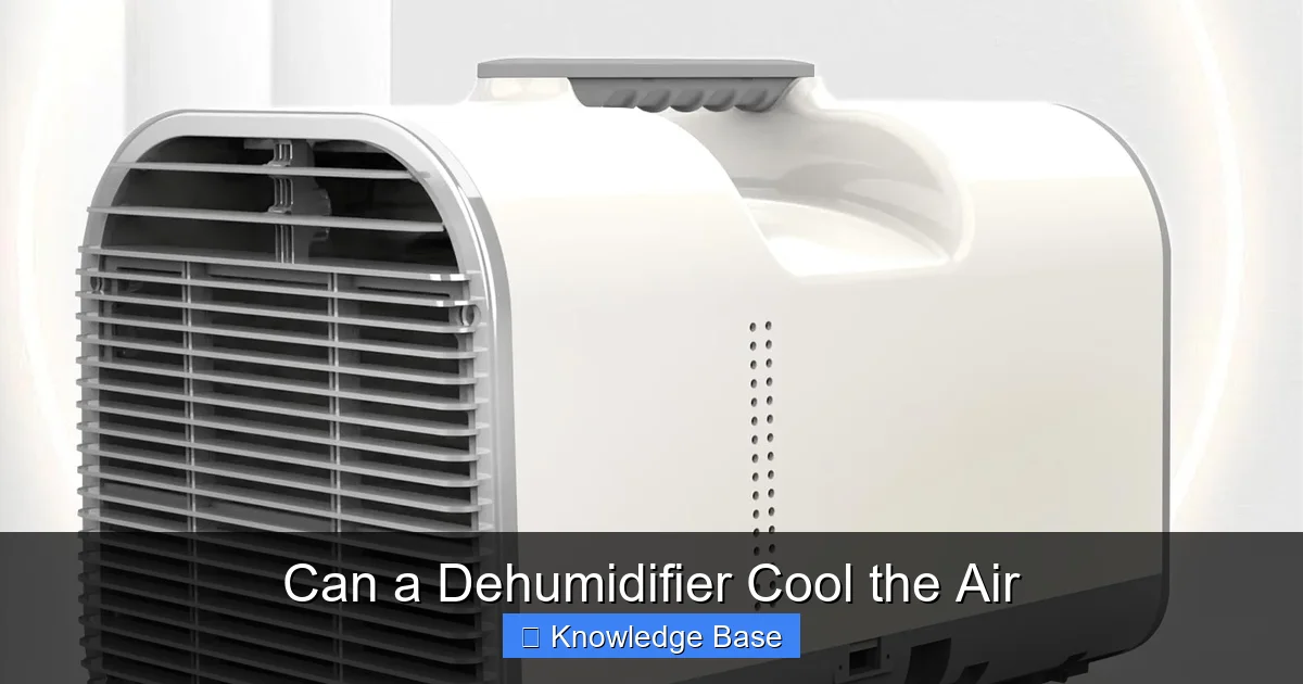 Can a Dehumidifier Cool the Air