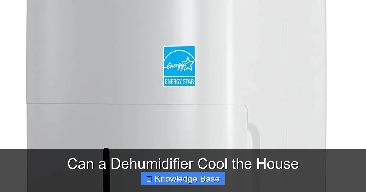 Can a Dehumidifier Cool the House