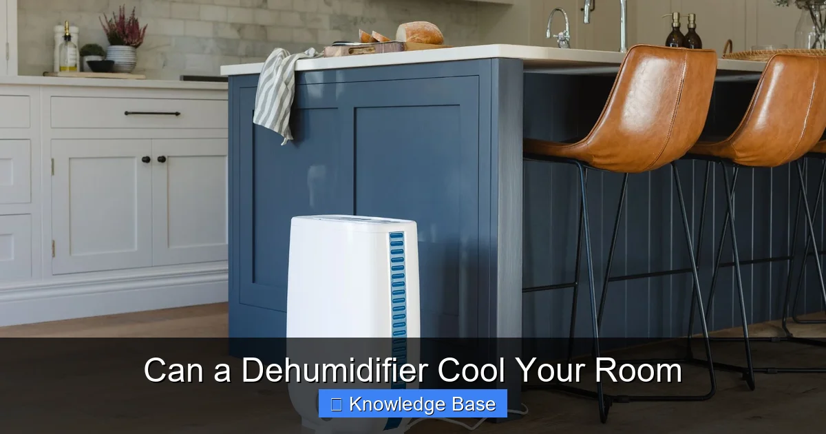 Can a Dehumidifier Cool Your Room