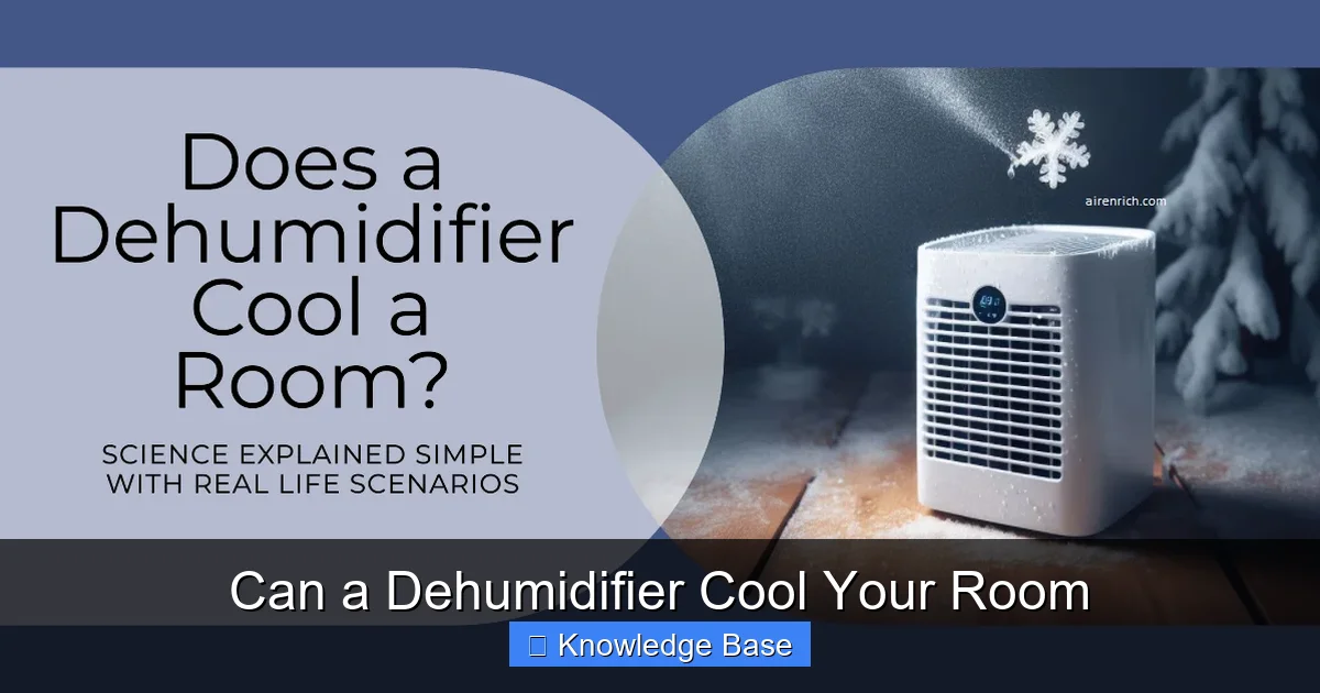 Can a Dehumidifier Cool Your Room