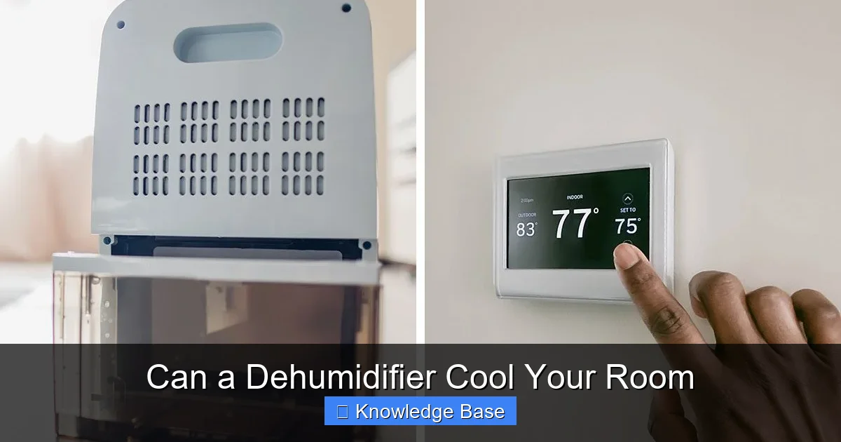 Can a Dehumidifier Cool Your Room