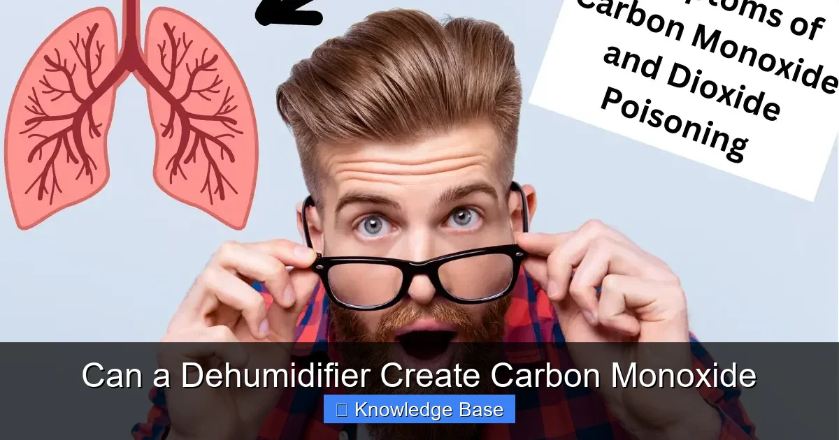 Can a Dehumidifier Create Carbon Monoxide