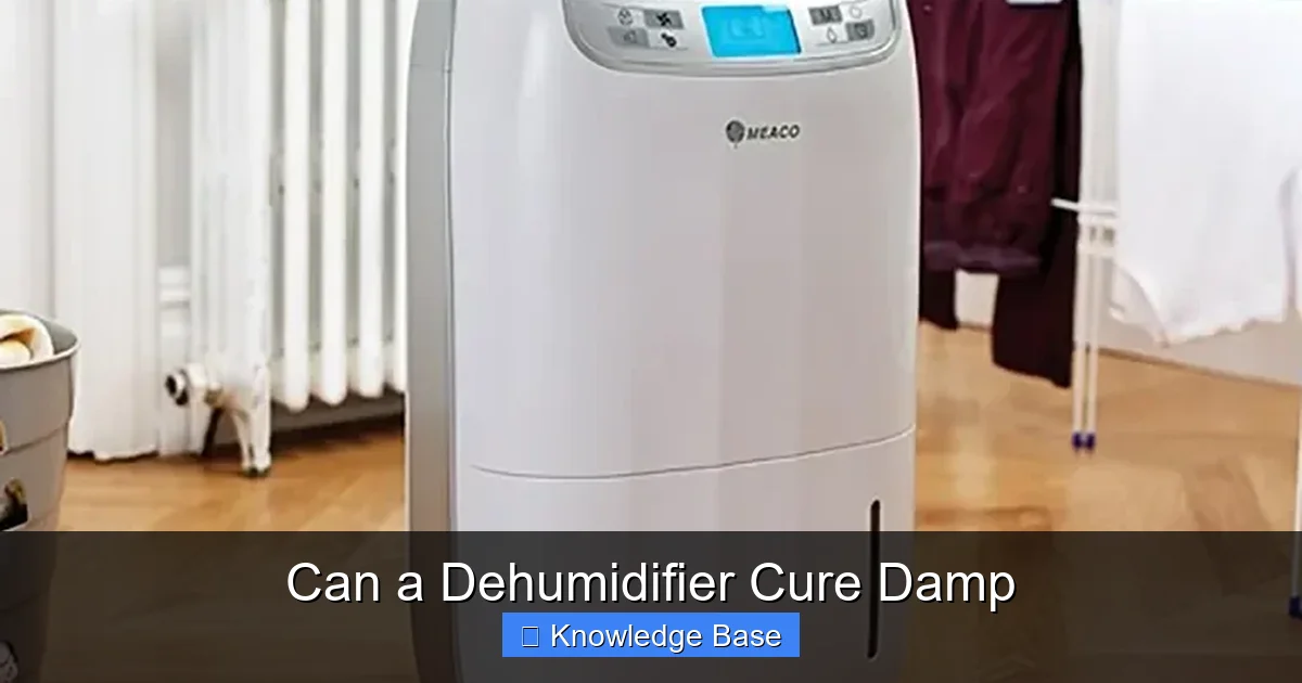 Can a Dehumidifier Cure Damp