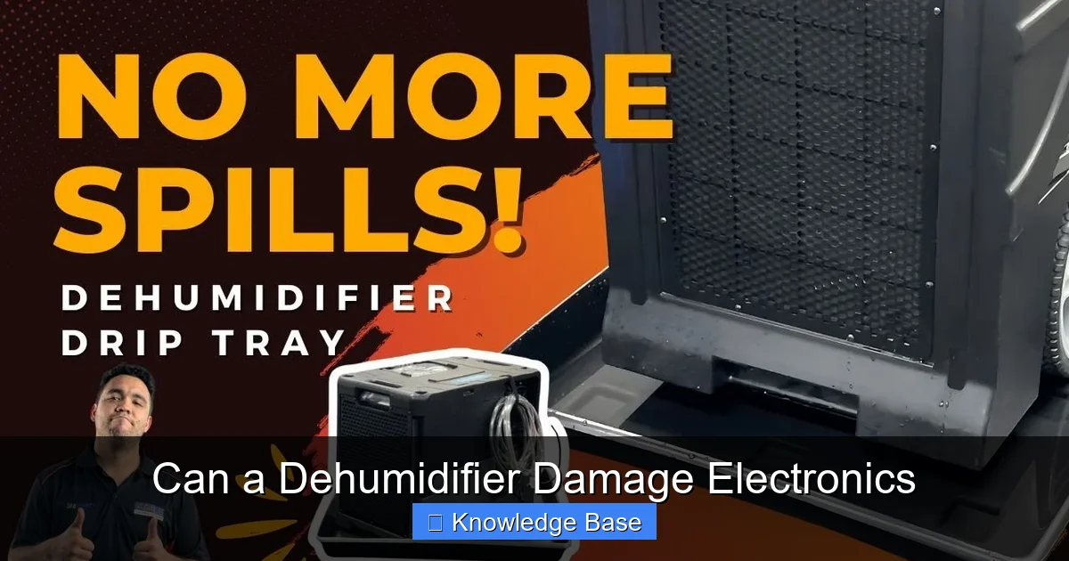 Can a Dehumidifier Damage Electronics