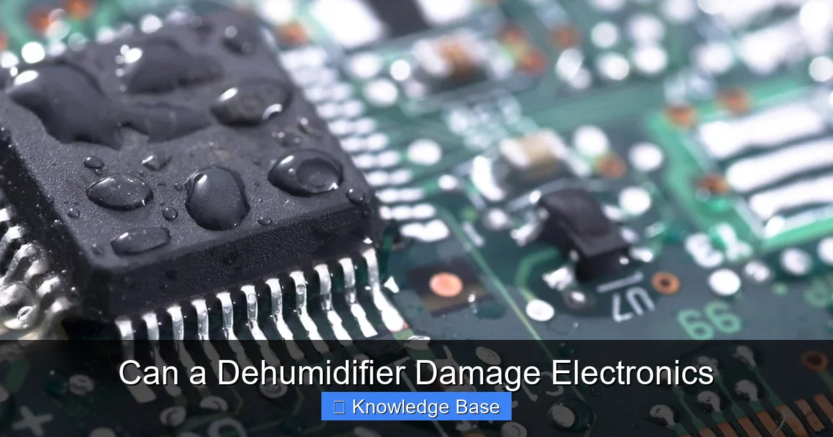 Can a Dehumidifier Damage Electronics