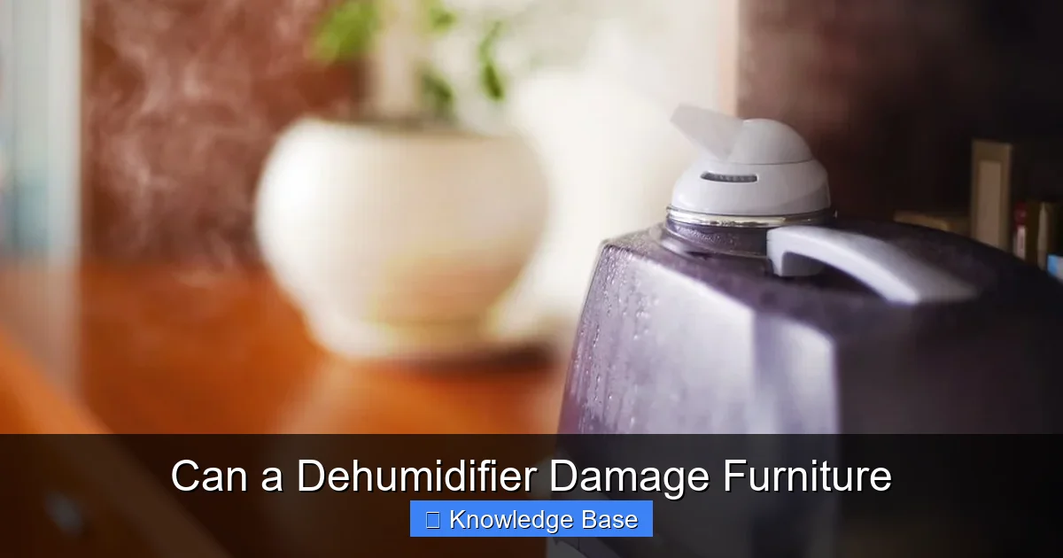 Can a Dehumidifier Damage Furniture