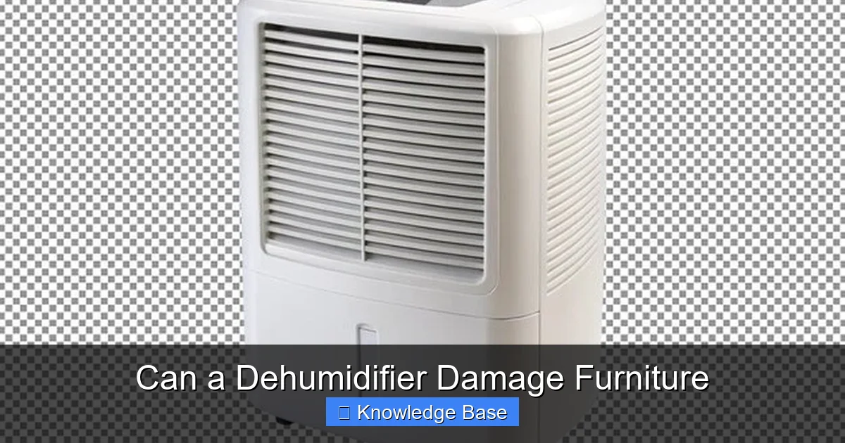 Can a Dehumidifier Damage Furniture