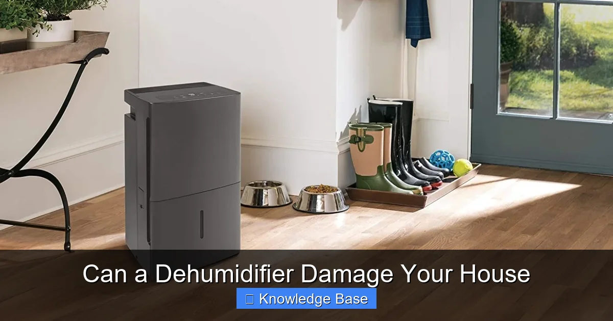 Can a Dehumidifier Damage Your House