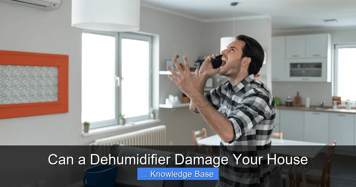 Can a Dehumidifier Damage Your House