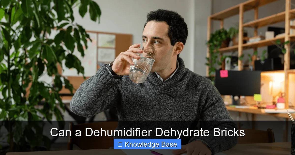 Can a Dehumidifier Dehydrate Bricks