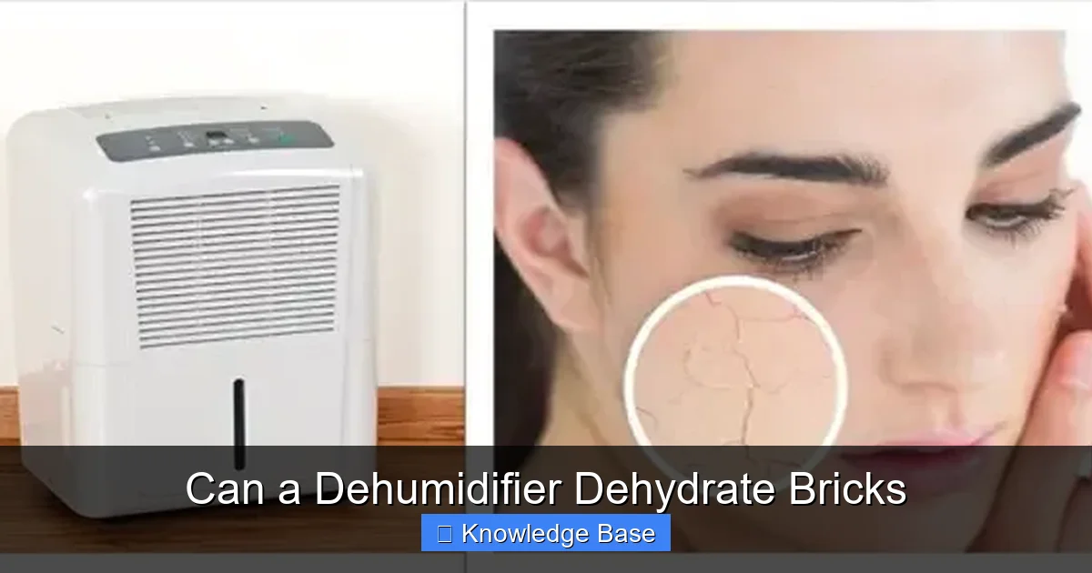 Can a Dehumidifier Dehydrate Bricks