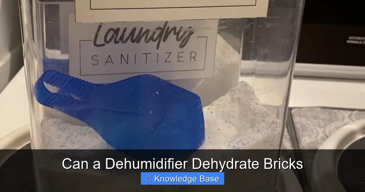 Can a Dehumidifier Dehydrate Bricks