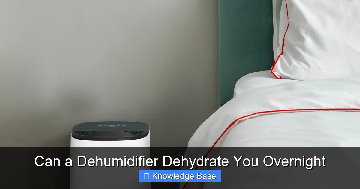 Can a Dehumidifier Dehydrate You Overnight