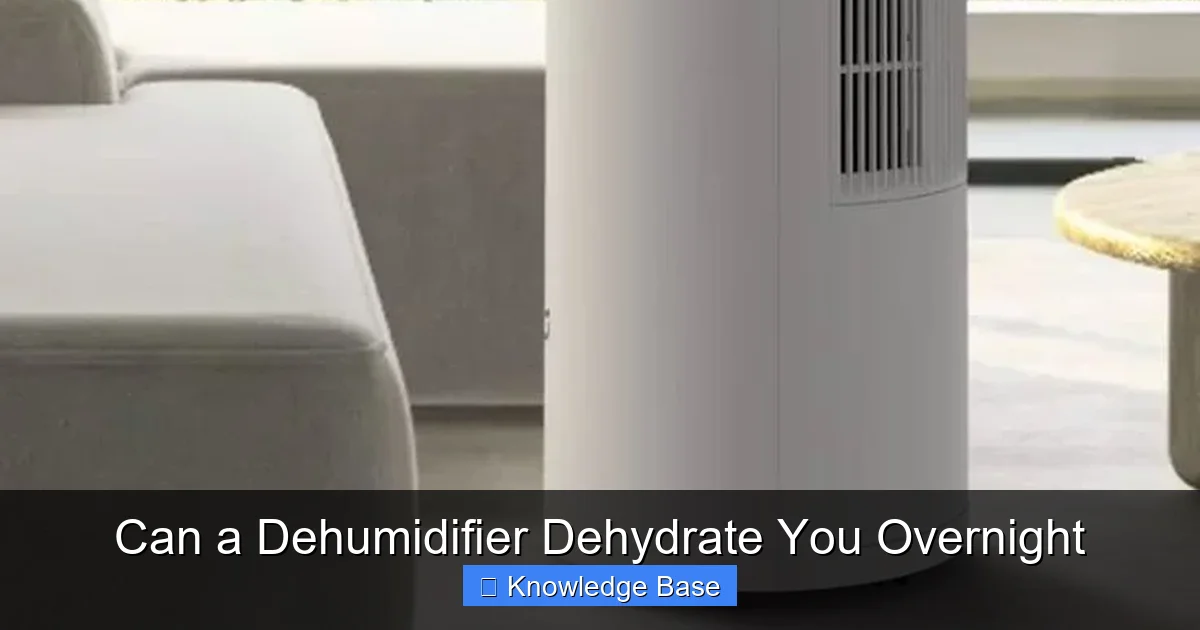 Can a Dehumidifier Dehydrate You Overnight