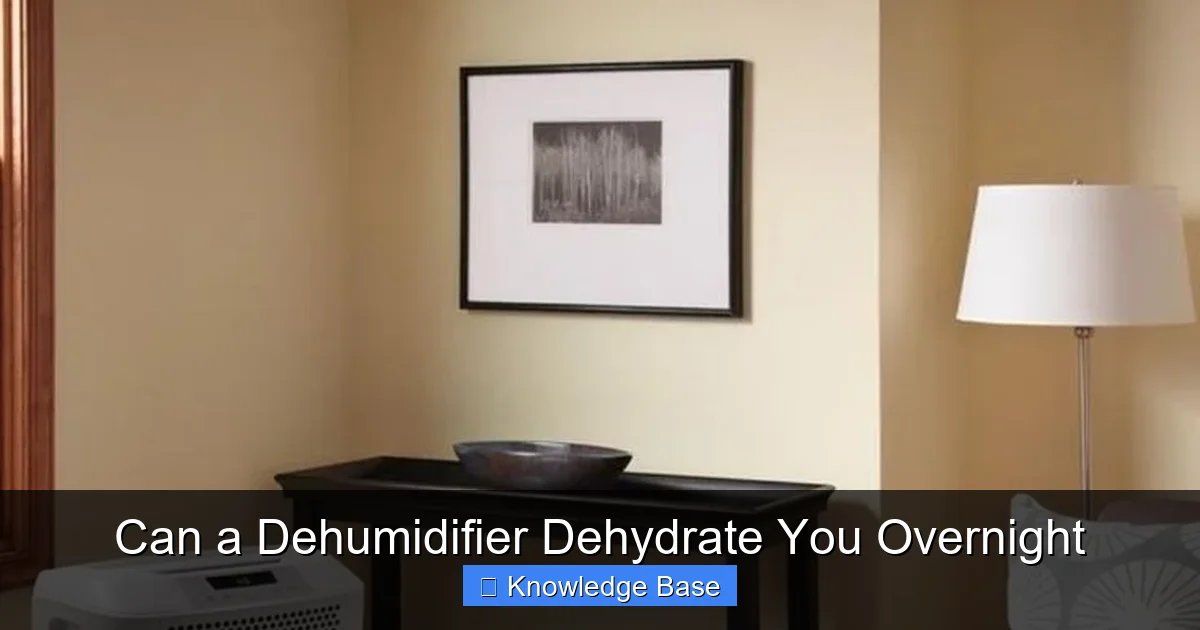 Can a Dehumidifier Dehydrate You Overnight