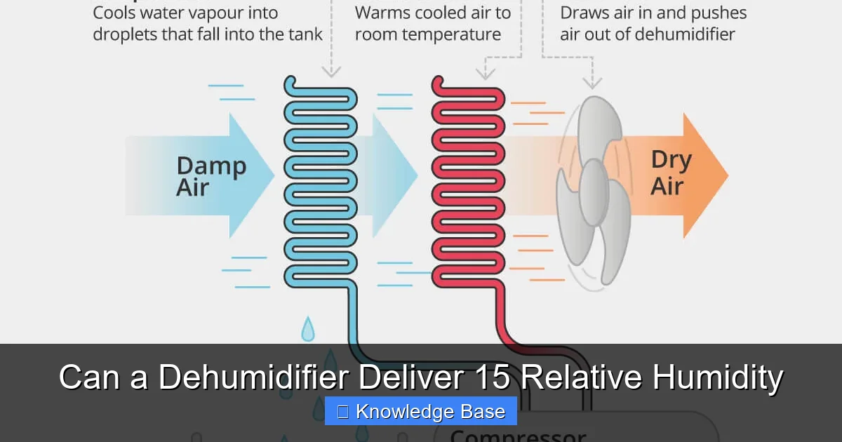 Can a Dehumidifier Deliver 15 Relative Humidity