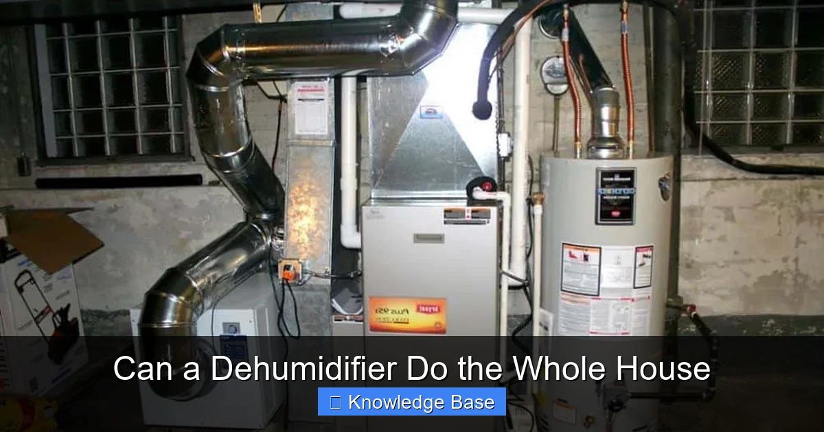 Can a Dehumidifier Do the Whole House