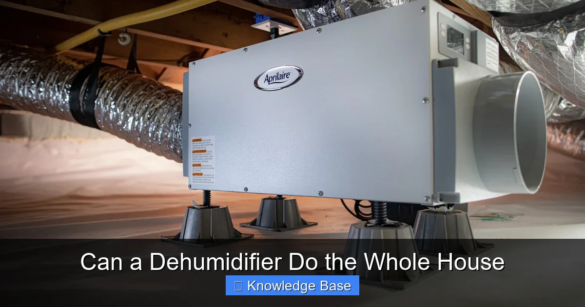 Can a Dehumidifier Do the Whole House