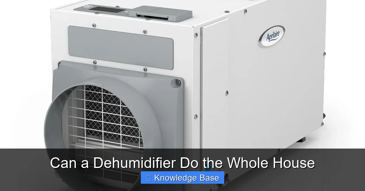 Can a Dehumidifier Do the Whole House