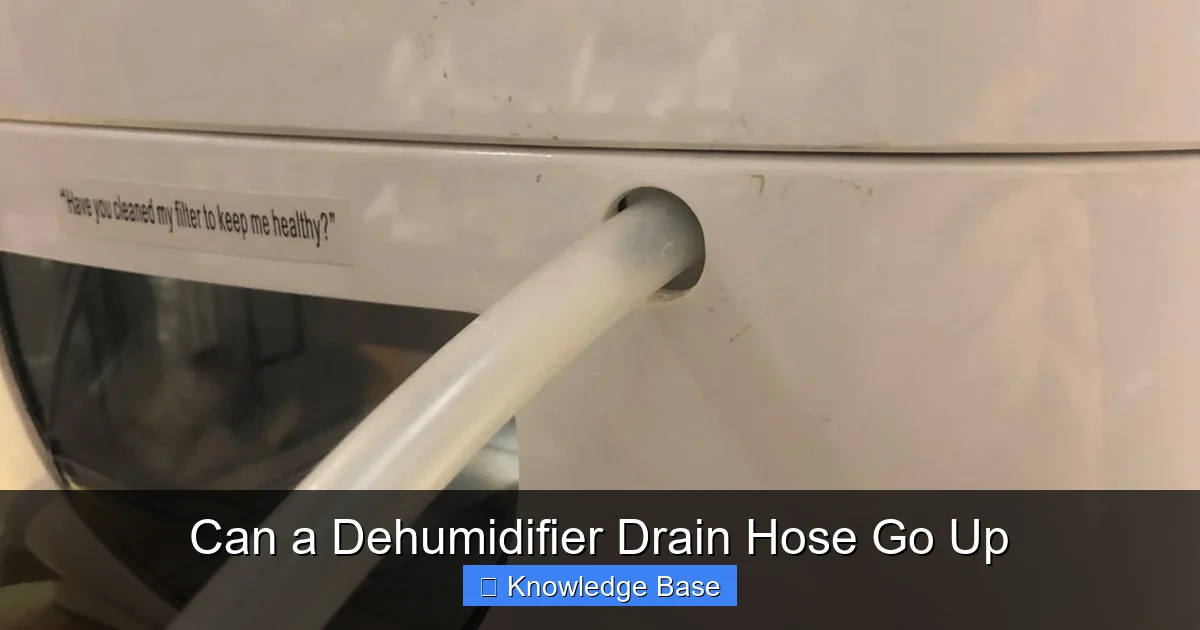 Can a Dehumidifier Drain Hose Go Up