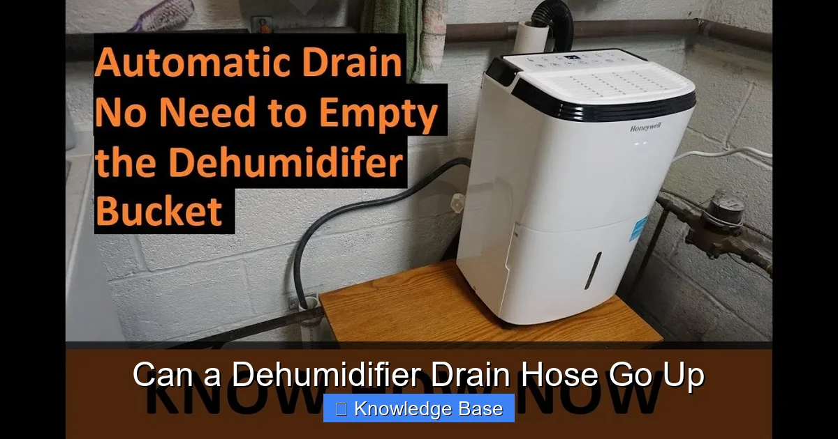 Can a Dehumidifier Drain Hose Go Up