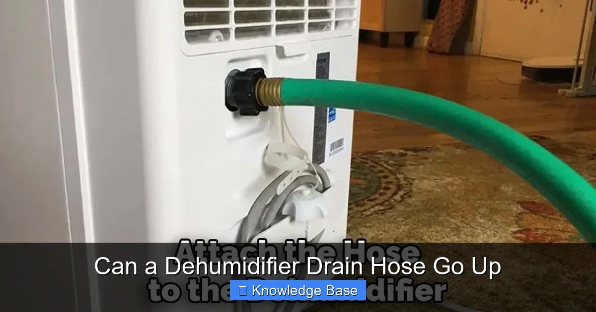 Can a Dehumidifier Drain Hose Go Up