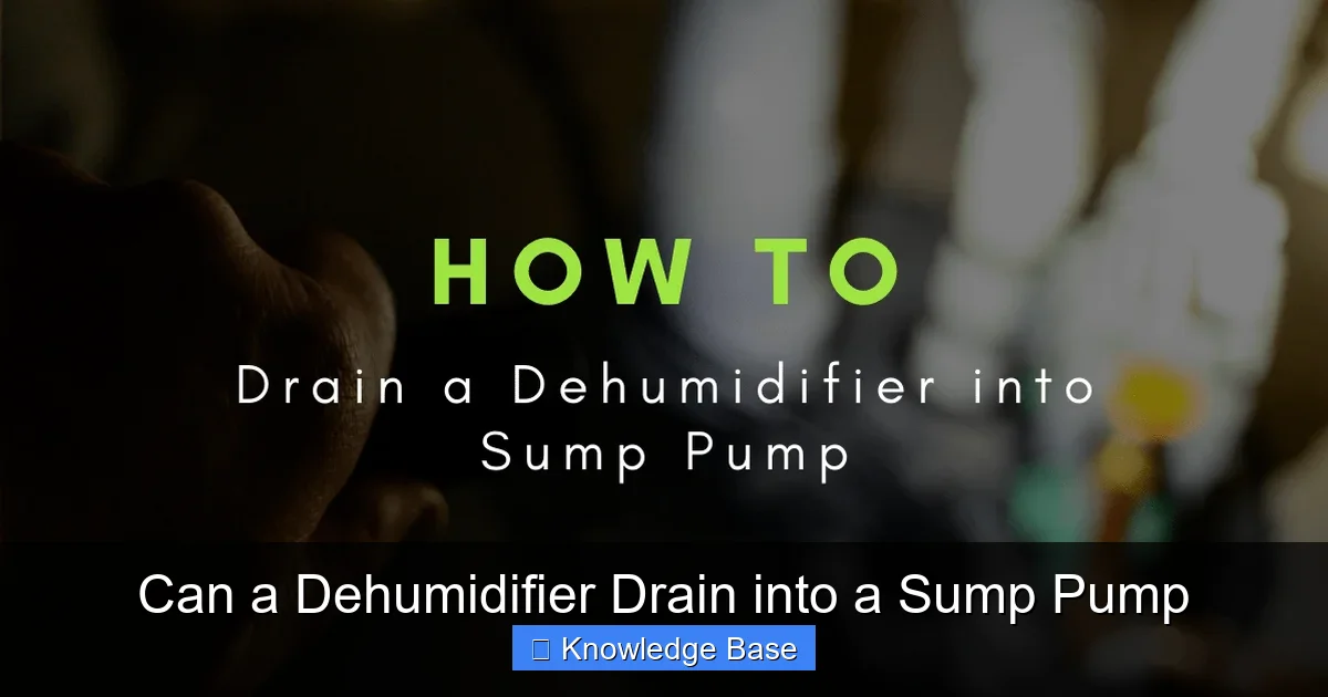 Can a Dehumidifier Drain into a Sump Pump
