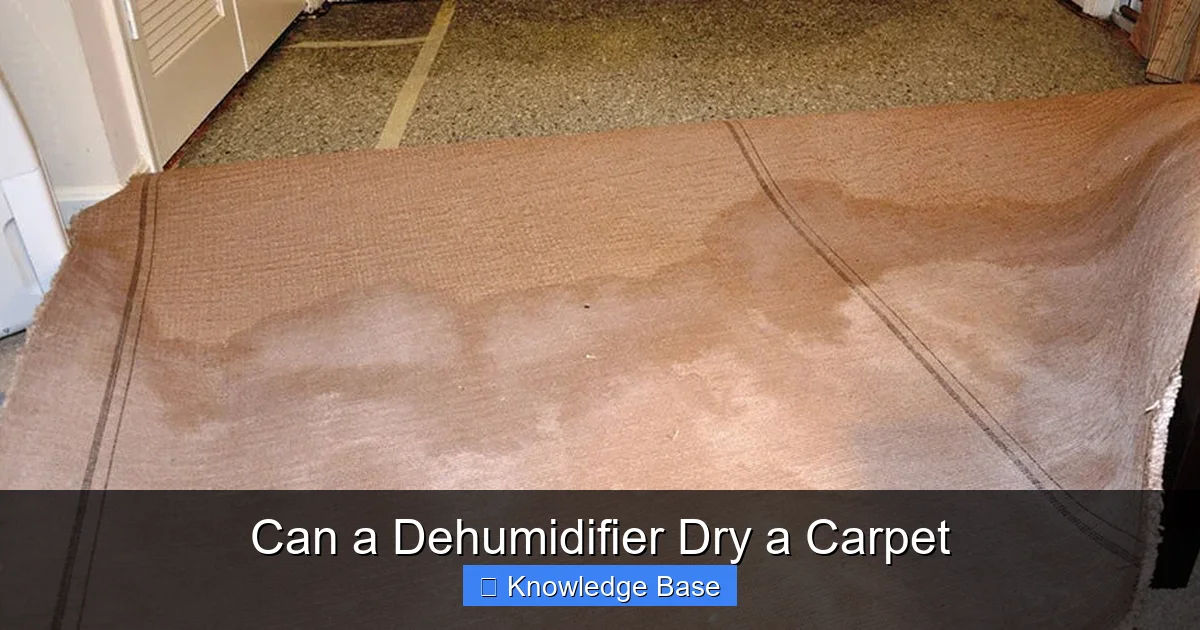 Can a Dehumidifier Dry a Carpet